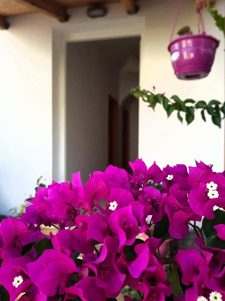 Penelope'S Rooms Dhermi Luaran gambar